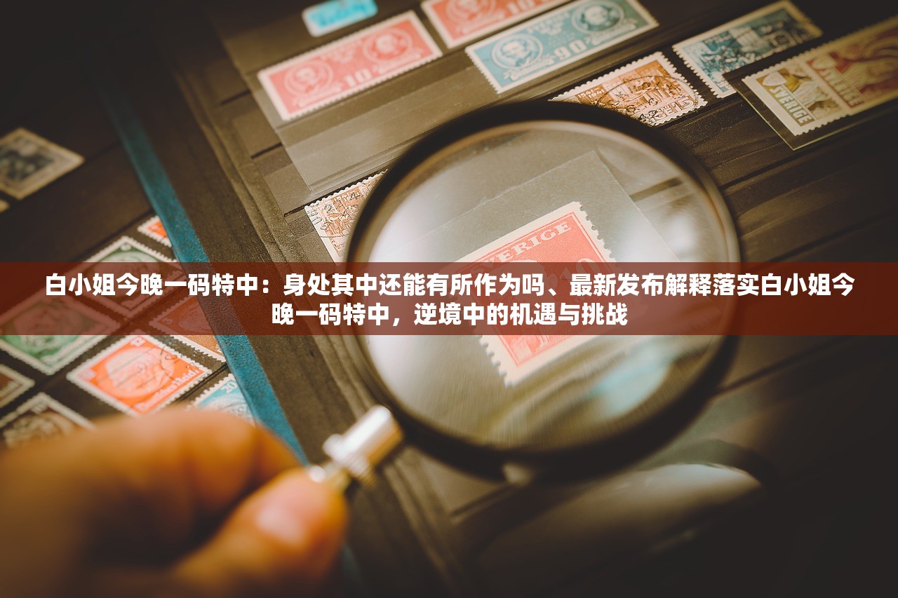 白小姐今晚一码特中：身处其中还能有所作为吗、最新发布解释落实白小姐今晚一码特中，逆境中的机遇与挑战