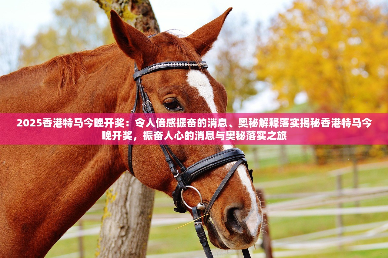 2025香港特马今晚开奖：令人倍感振奋的消息、奥秘解释落实揭秘香港特马今晚开奖，振奋人心的消息与奥秘落实之旅