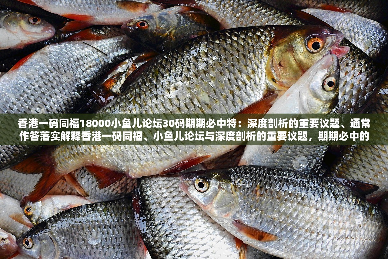 香港一码同福18000小鱼儿论坛30码期期必中特：深度剖析的重要议题、通常作答落实解释香港一码同福、小鱼儿论坛与深度剖析的重要议题，期期必中的神秘面纱与落实解释