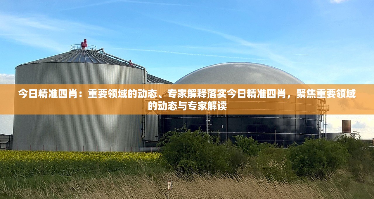 今日精准四肖：重要领域的动态、专家解释落实今日精准四肖，聚焦重要领域的动态与专家解读