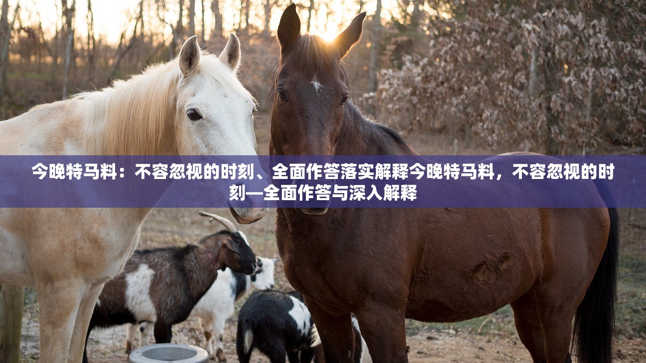 今晚特马料：不容忽视的时刻、全面作答落实解释今晚特马料，不容忽视的时刻—全面作答与深入解释
