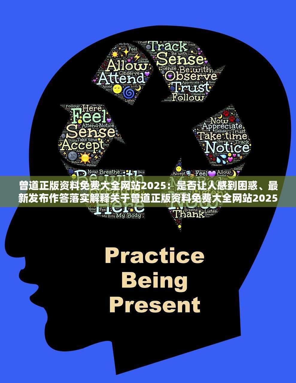 曾道正版资料免费大全网站2025：是否让人感到困惑、最新发布作答落实解释关于曾道正版资料免费大全网站2025，困惑、最新发布与作答的落实解释