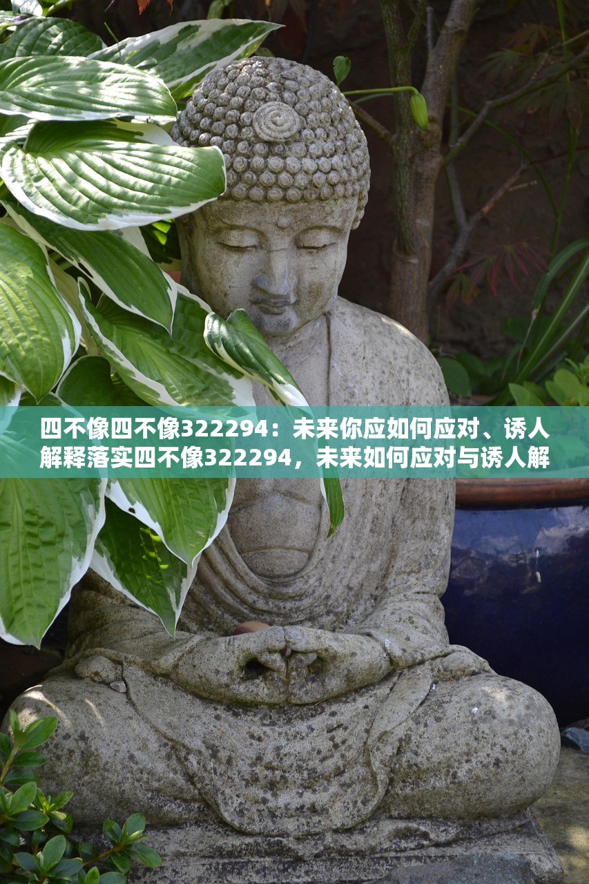 四不像四不像322294：未来你应如何应对、诱人解释落实四不像322294，未来如何应对与诱人解释落实的挑战