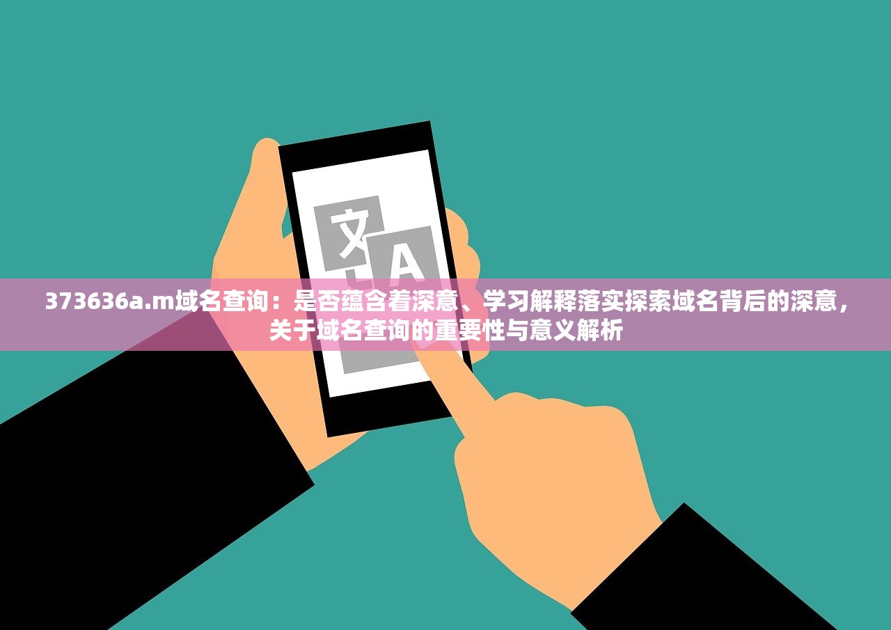 373636a.m域名查询：是否蕴含着深意、学习解释落实探索域名背后的深意，关于域名查询的重要性与意义解析