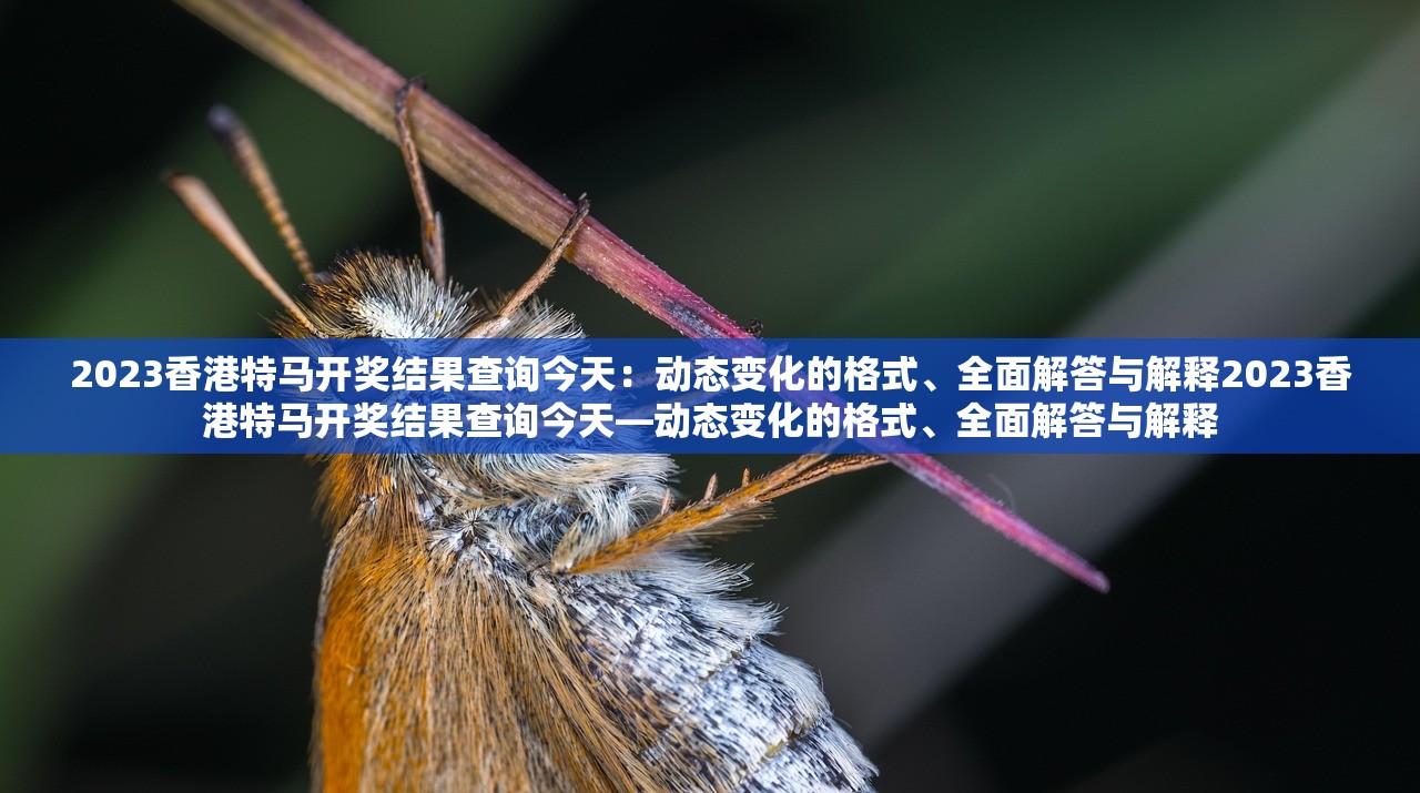 2023香港特马开奖结果查询今天：动态变化的格式、全面解答与解释2023香港特马开奖结果查询今天—动态变化的格式、全面解答与解释