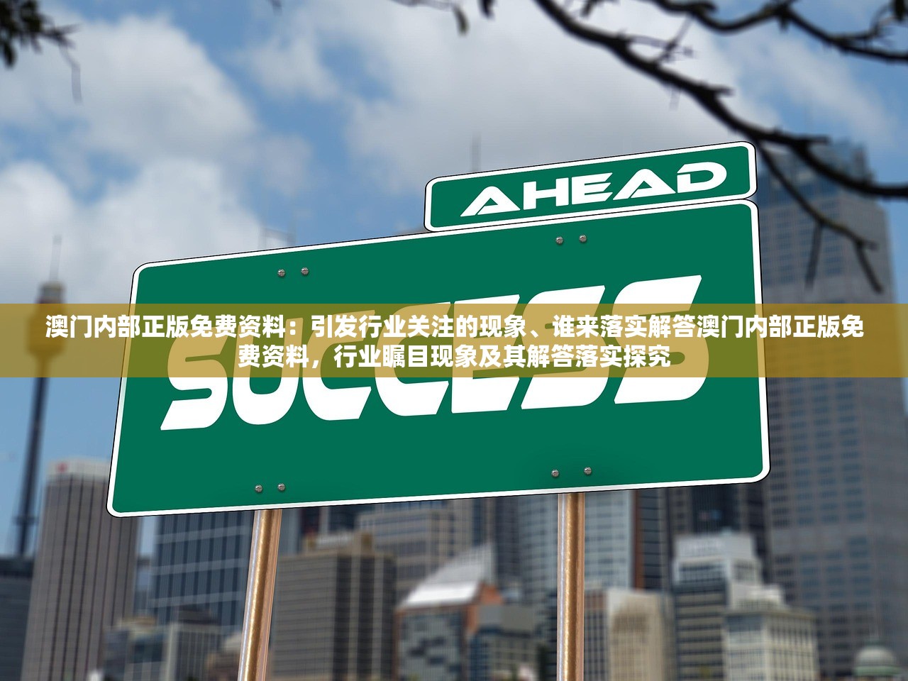 澳门内部正版免费资料：引发行业关注的现象、谁来落实解答澳门内部正版免费资料，行业瞩目现象及其解答落实探究