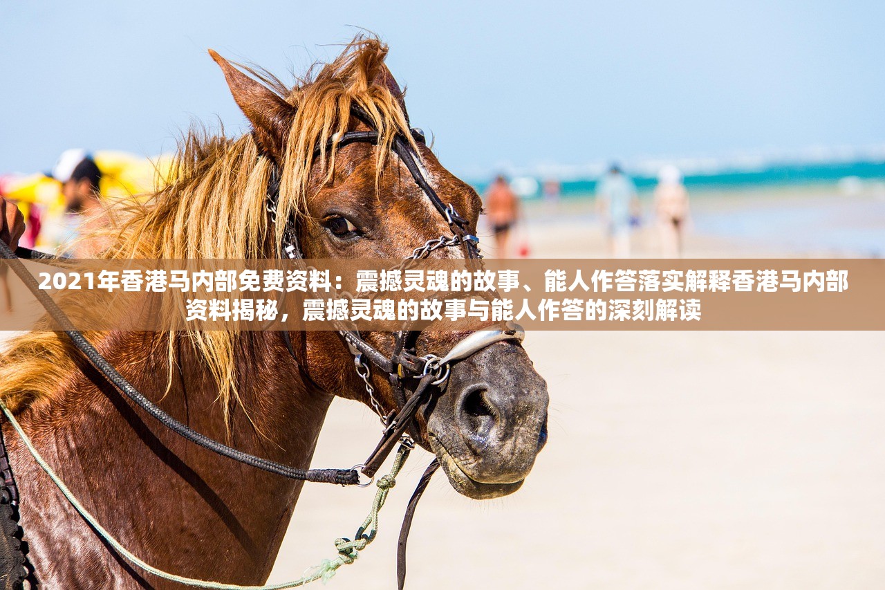 2021年香港马内部免费资料：震撼灵魂的故事、能人作答落实解释香港马内部资料揭秘，震撼灵魂的故事与能人作答的深刻解读