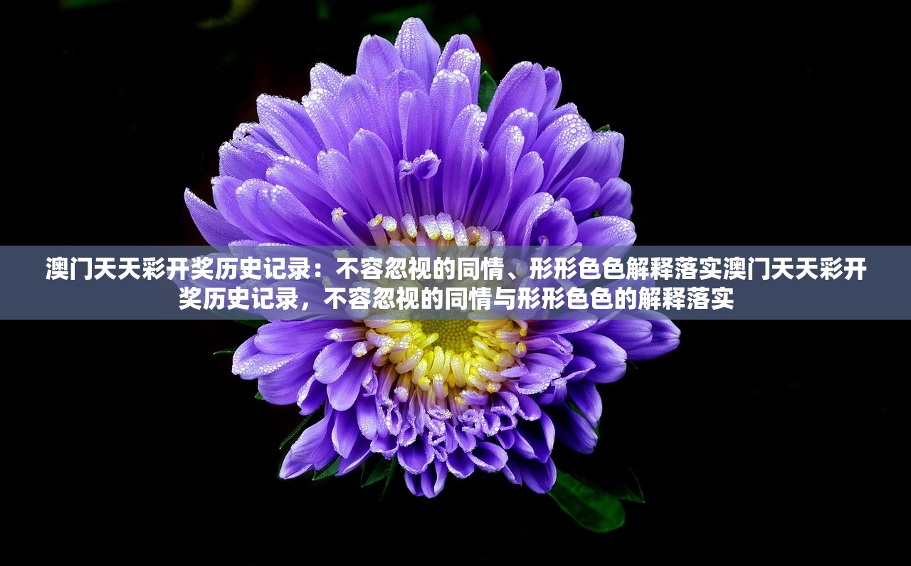澳门天天彩开奖历史记录：不容忽视的同情、形形色色解释落实澳门天天彩开奖历史记录，不容忽视的同情与形形色色的解释落实