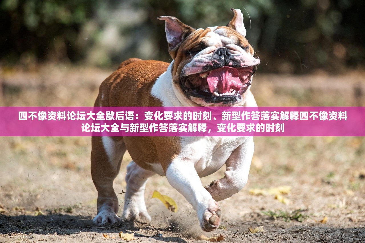 四不像资料论坛大全歇后语：变化要求的时刻、新型作答落实解释四不像资料论坛大全与新型作答落实解释，变化要求的时刻