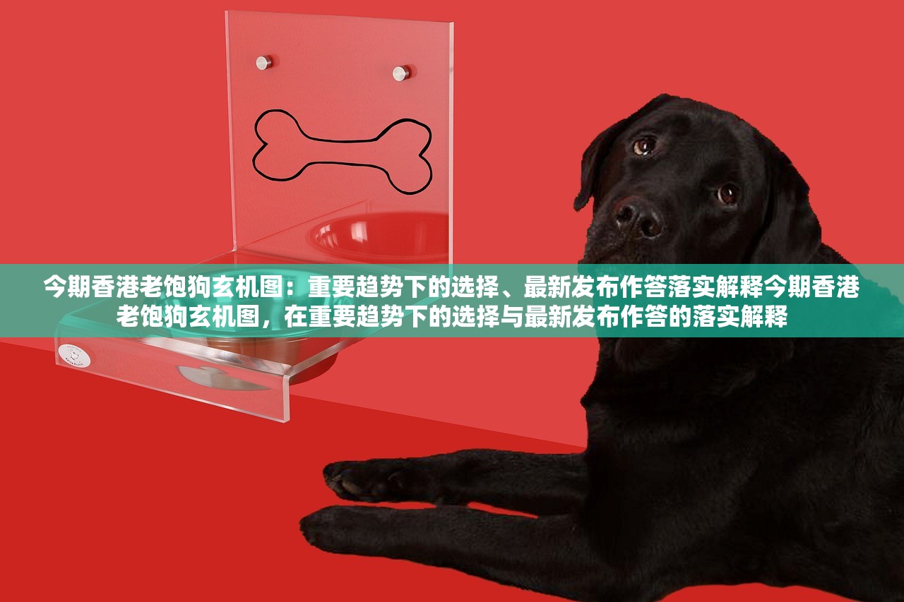 今期香港老饱狗玄机图：重要趋势下的选择、最新发布作答落实解释今期香港老饱狗玄机图，在重要趋势下的选择与最新发布作答的落实解释