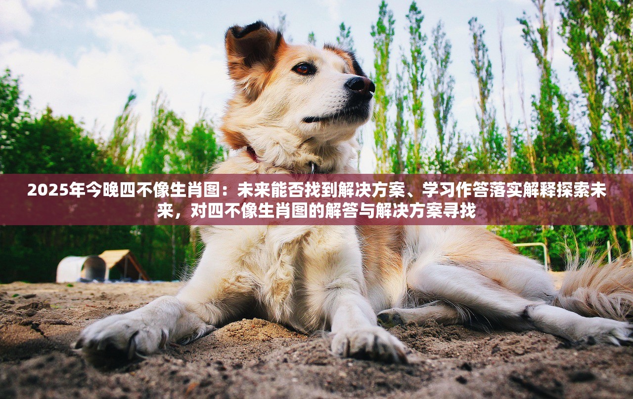 2025年今晚四不像生肖图：未来能否找到解决方案、学习作答落实解释探索未来，对四不像生肖图的解答与解决方案寻找