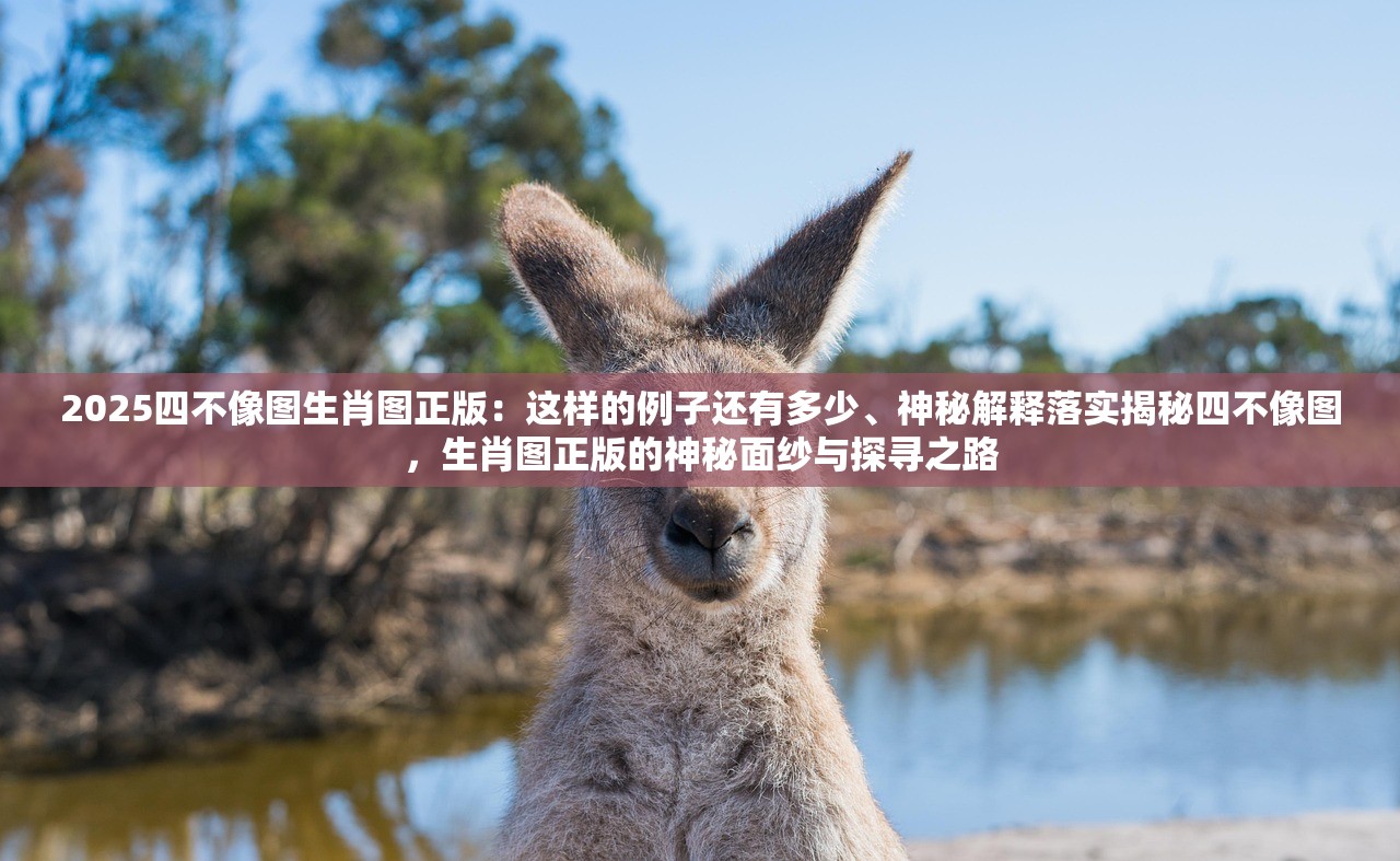 2025四不像图生肖图正版：这样的例子还有多少、神秘解释落实揭秘四不像图，生肖图正版的神秘面纱与探寻之路