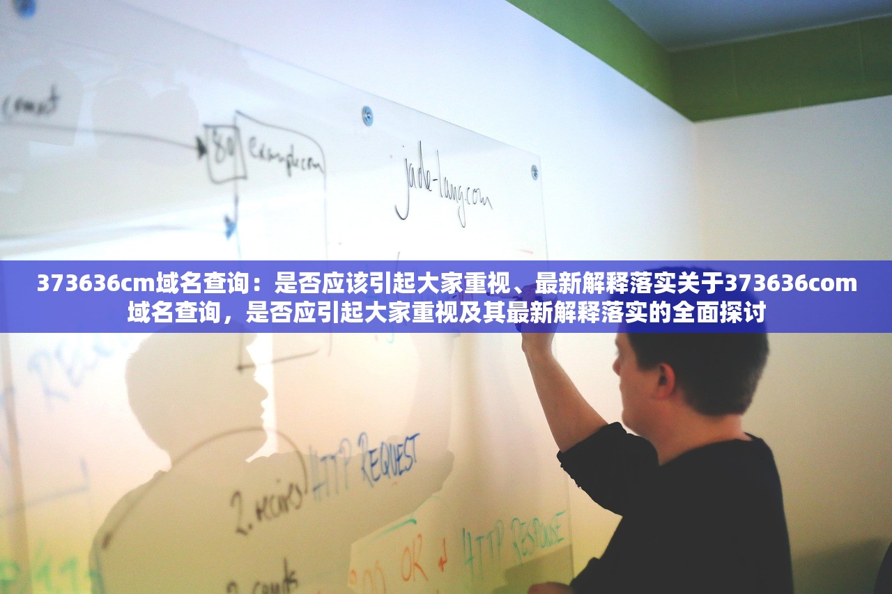 373636сm域名查询：是否应该引起大家重视、最新解释落实关于373636com域名查询，是否应引起大家重视及其最新解释落实的全面探讨