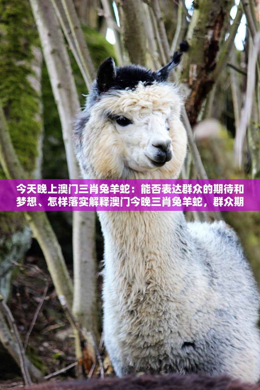 今天晚上澳门三肖兔羊蛇：能否表达群众的期待和梦想、怎样落实解释澳门今晚三肖兔羊蛇，群众期待与梦想的体现及实现路径解析