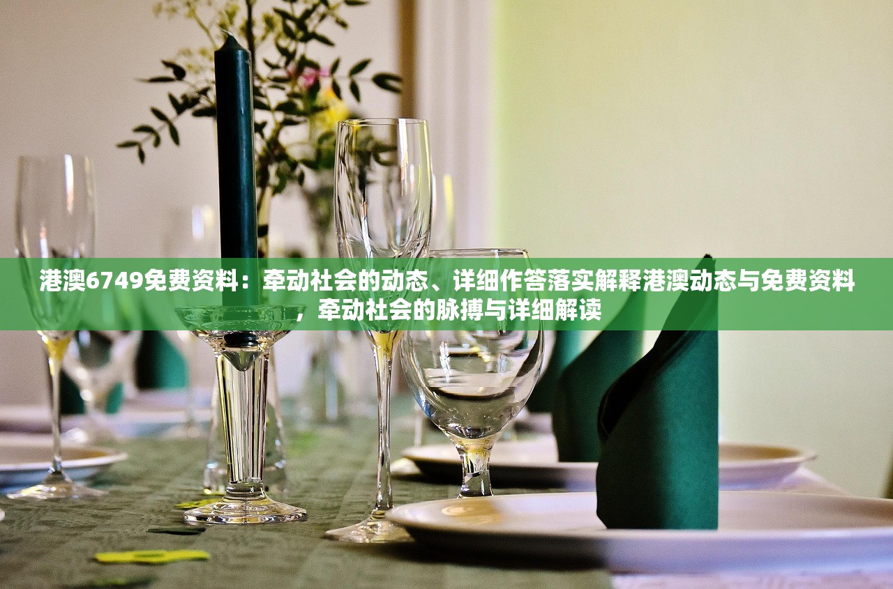 港澳6749免费资料：牵动社会的动态、详细作答落实解释港澳动态与免费资料，牵动社会的脉搏与详细解读