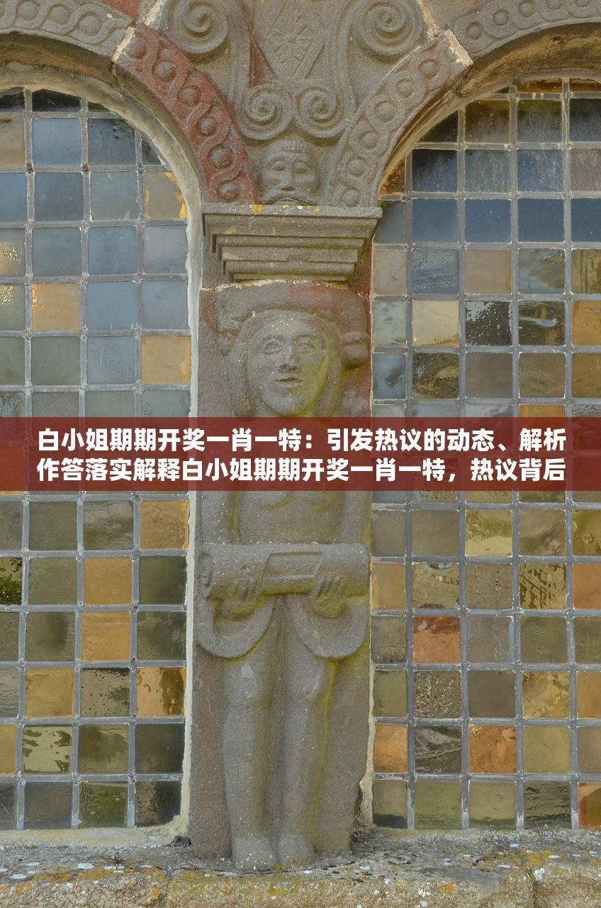 白小姐期期开奖一肖一特：引发热议的动态、解析作答落实解释白小姐期期开奖一肖一特，热议背后的真相与解析
