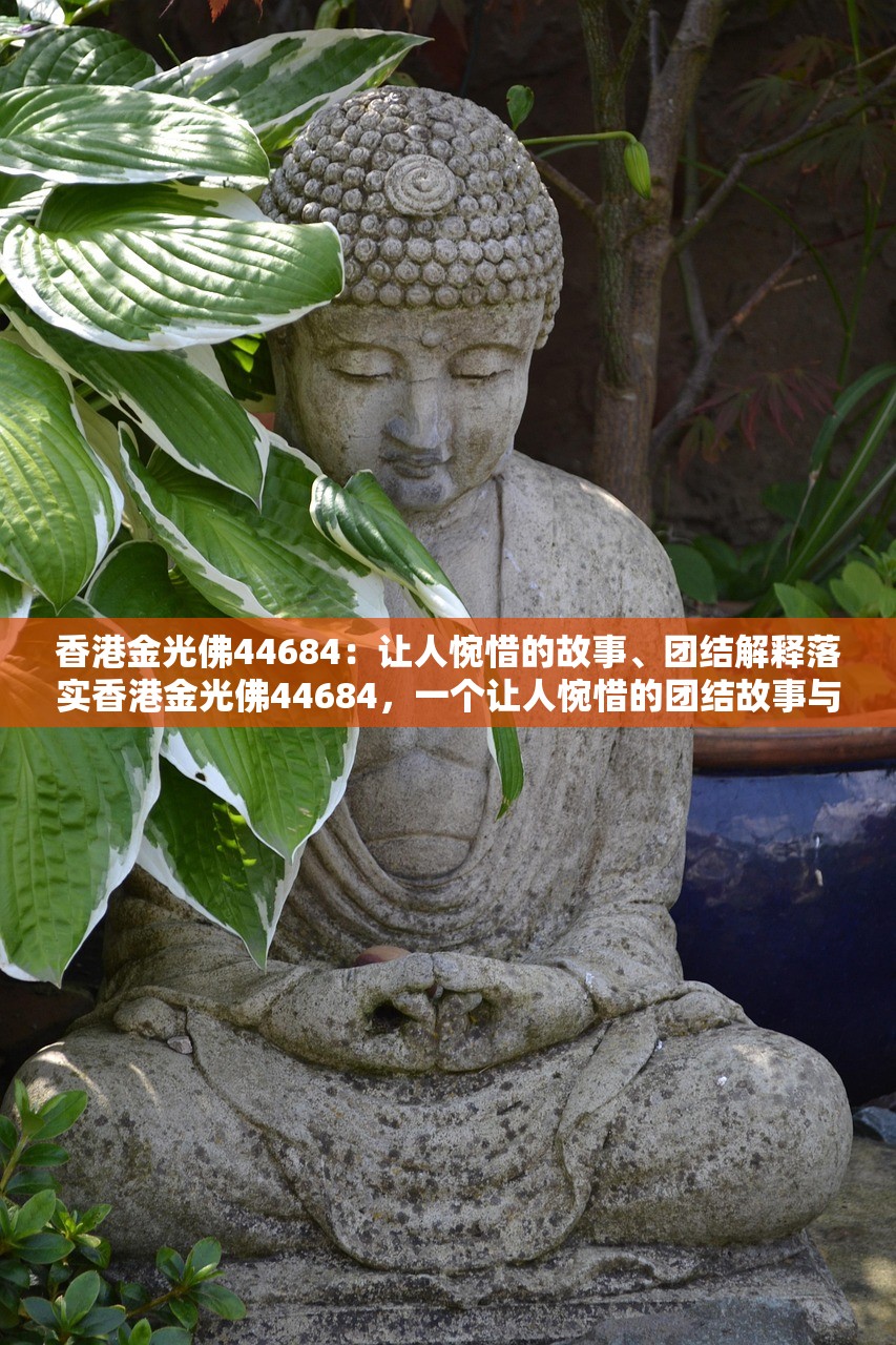 香港金光佛44684：让人惋惜的故事、团结解释落实香港金光佛44684，一个让人惋惜的团结故事与其实践落实
