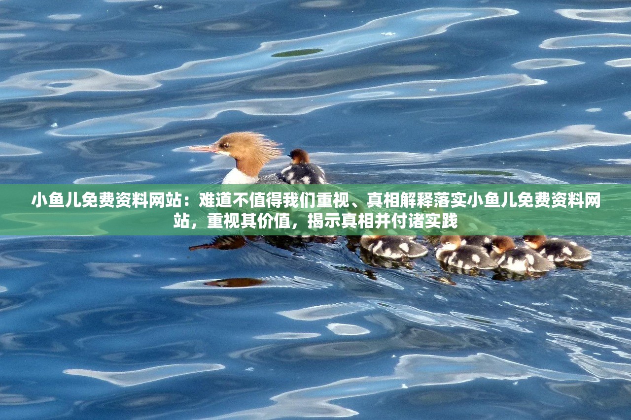 小鱼儿免费资料网站:难道不值得我们重视、真相解释落实小鱼儿免费资料网站,重视其价值,揭示真相并付诸实践 小鱼儿免费资料网站:难道不值得我们重视、真相解释落实小鱼儿免费资料网站,重视其价值,揭示真相并付诸实践