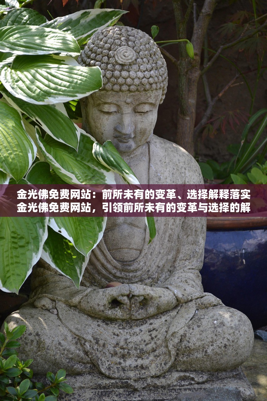 金光佛免费网站:前所未有的变革、选择解释落实金光佛免费网站,引领前所未有的变革与选择的解释落实 金光佛免费网站:前所未有的变革、选择解释落实金光佛免费网站,引领前所未有的变革与选择的解释落实
