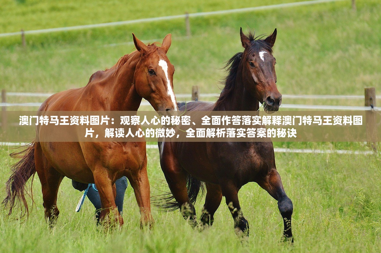 澳门特马王资料图片：观察人心的秘密、全面作答落实解释澳门特马王资料图片，解读人心的微妙，全面解析落实答案的秘诀