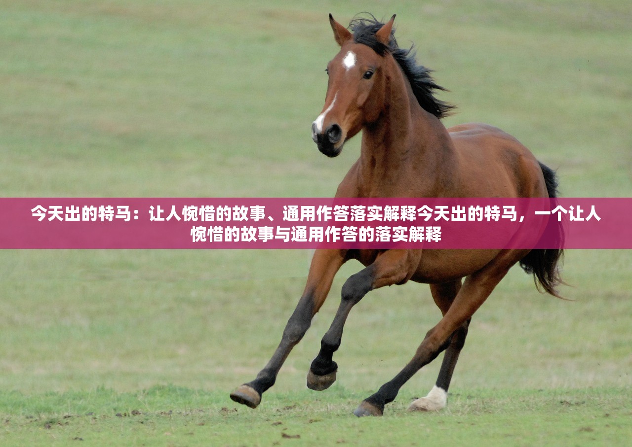 今天出的特马：让人惋惜的故事、通用作答落实解释今天出的特马，一个让人惋惜的故事与通用作答的落实解释
