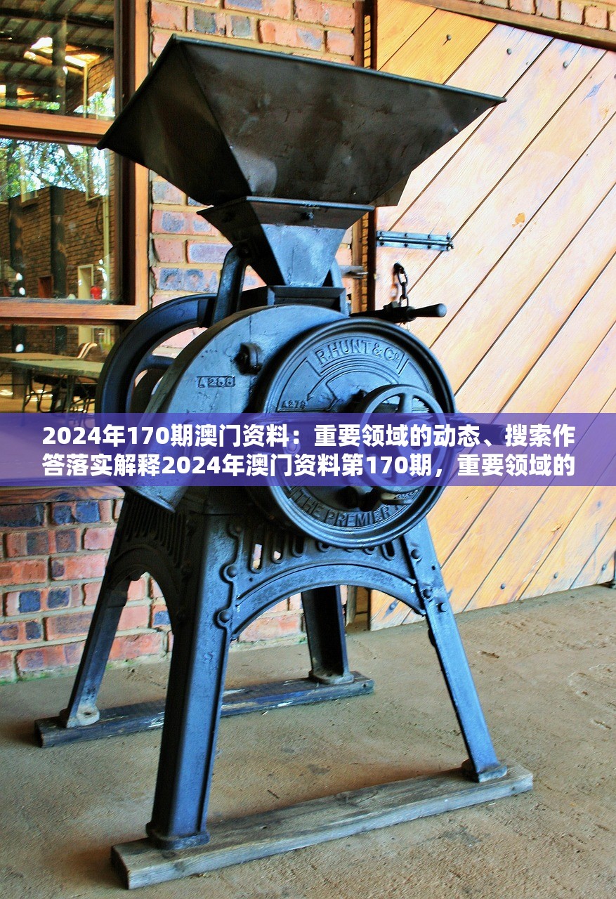 2024年170期澳门资料：重要领域的动态、搜索作答落实解释2024年澳门资料第170期，重要领域的动态与搜索作答的深入解析