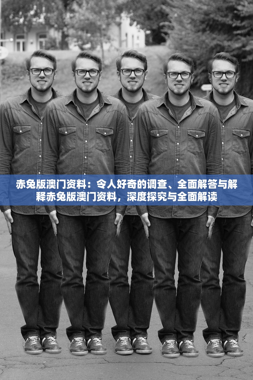 赤兔版澳门资料：令人好奇的调查、全面解答与解释赤兔版澳门资料，深度探究与全面解读