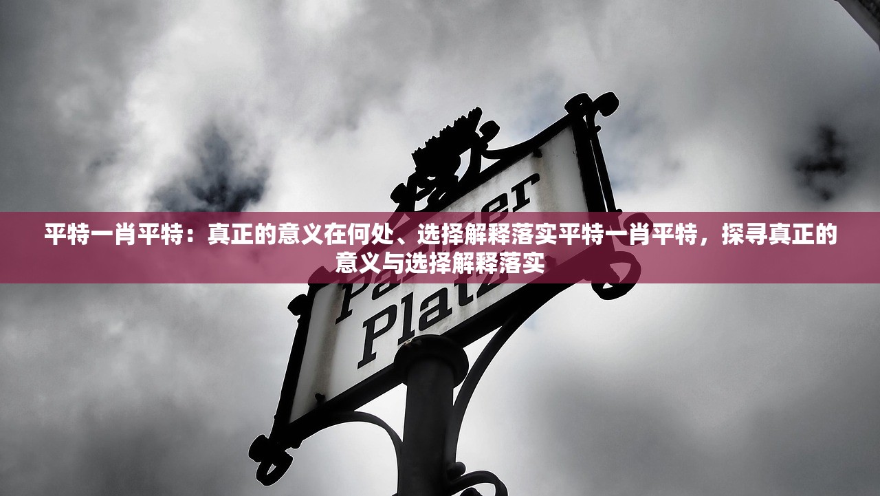平特一肖平特：真正的意义在何处、选择解释落实平特一肖平特，探寻真正的意义与选择解释落实