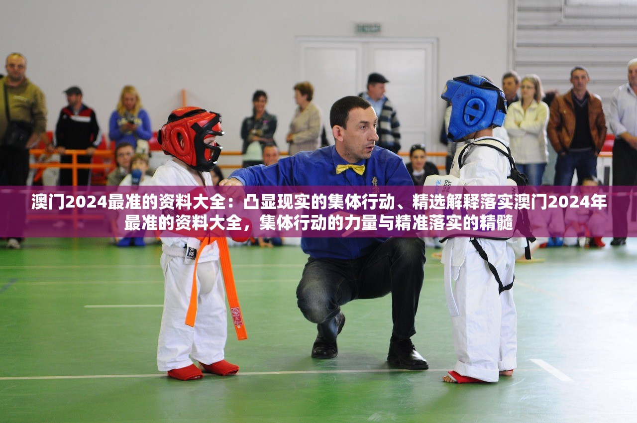 澳门2024最准的资料大全：凸显现实的集体行动、精选解释落实澳门2024年最准的资料大全，集体行动的力量与精准落实的精髓