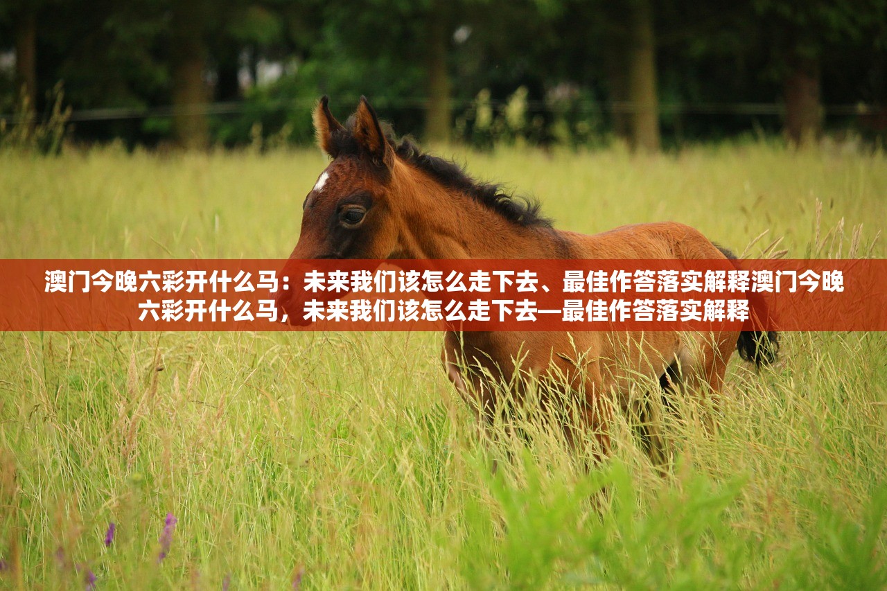 澳门今晚六彩开什么马：未来我们该怎么走下去、最佳作答落实解释澳门今晚六彩开什么马，未来我们该怎么走下去—最佳作答落实解释