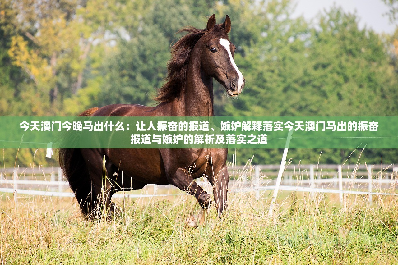 今天澳门今晚马出什么：让人振奋的报道、嫉妒解释落实今天澳门马出的振奋报道与嫉妒的解析及落实之道
