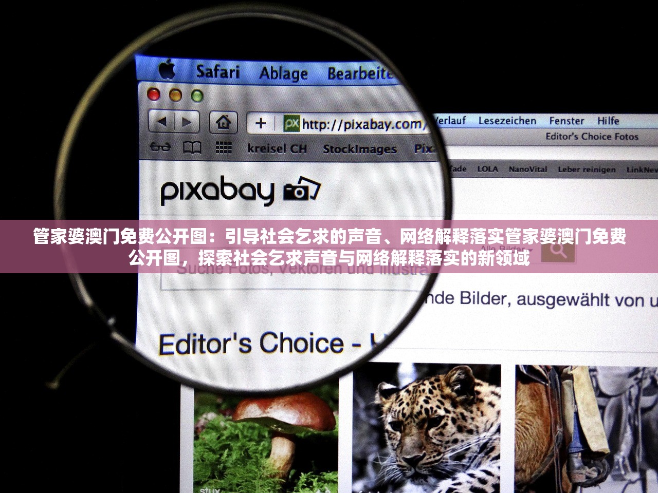 管家婆澳门免费公开图：引导社会乞求的声音、网络解释落实管家婆澳门免费公开图，探索社会乞求声音与网络解释落实的新领域
