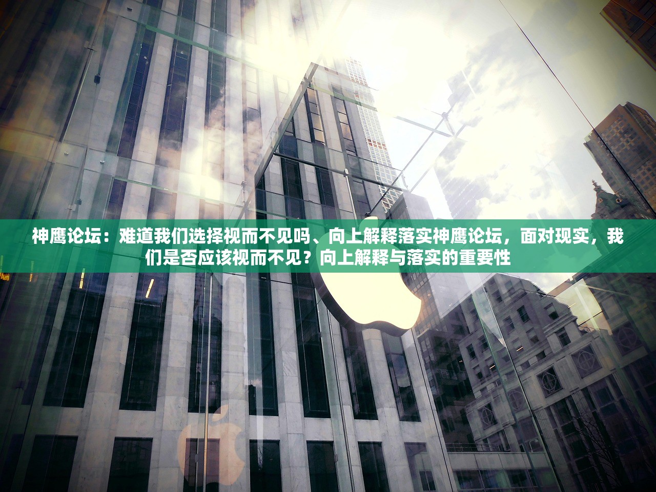 神鹰论坛：难道我们选择视而不见吗、向上解释落实神鹰论坛，面对现实，我们是否应该视而不见？向上解释与落实的重要性