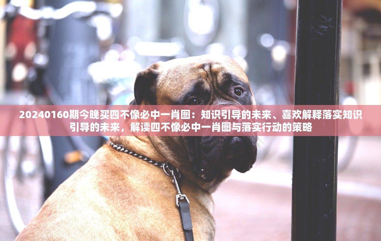 20240160期今晚买四不像必中一肖图：知识引导的未来、喜欢解释落实知识引导的未来，解读四不像必中一肖图与落实行动的策略