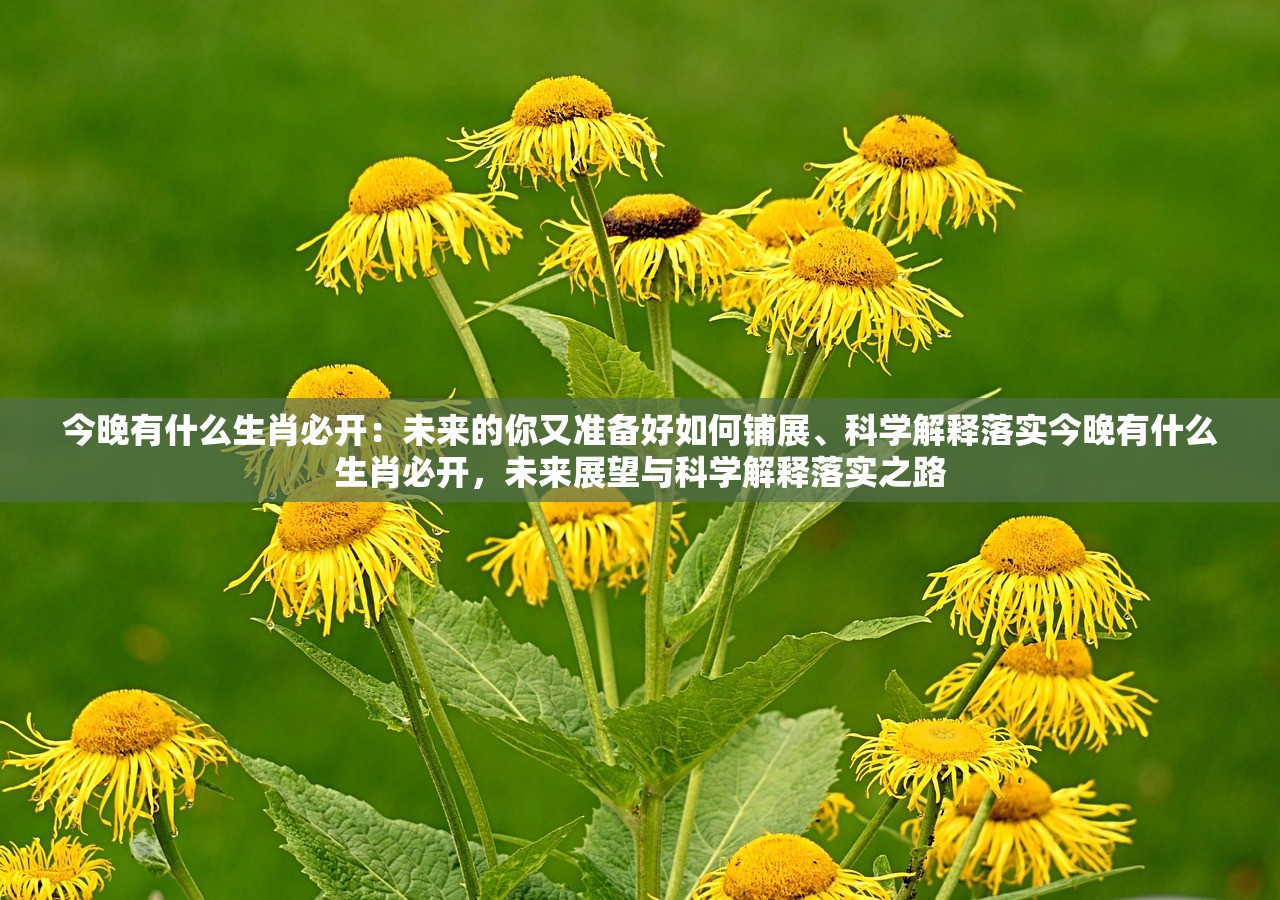 今晚有什么生肖必开：未来的你又准备好如何铺展、科学解释落实今晚有什么生肖必开，未来展望与科学解释落实之路