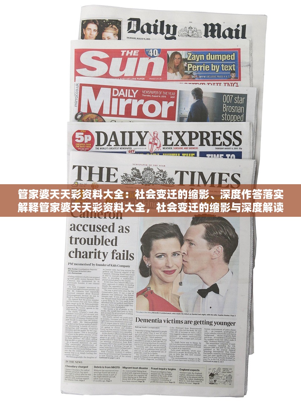 管家婆天天彩资料大全：社会变迁的缩影、深度作答落实解释管家婆天天彩资料大全，社会变迁的缩影与深度解读