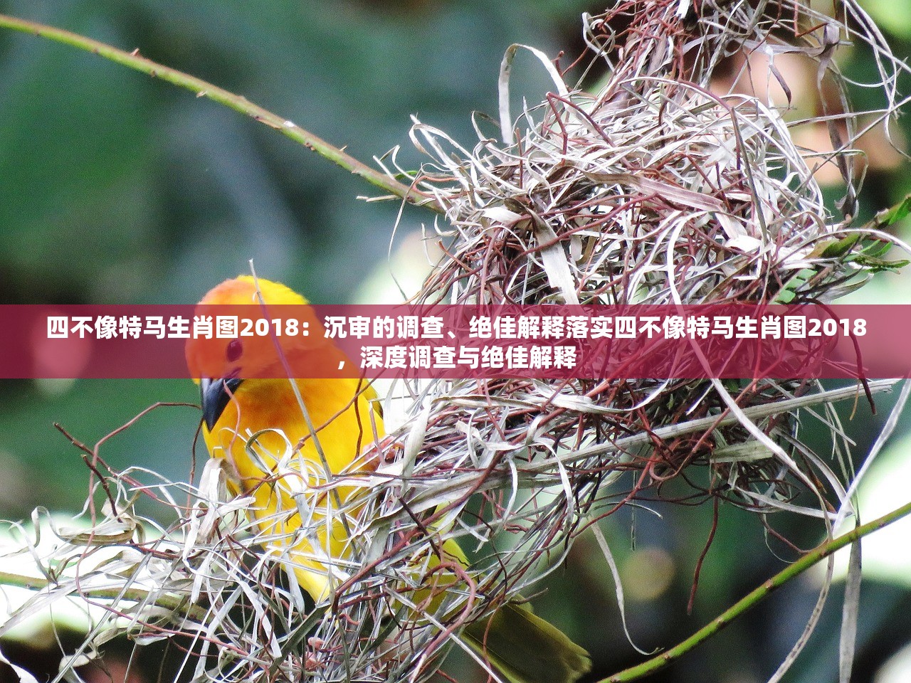 四不像特马生肖图2018：沉审的调查、绝佳解释落实四不像特马生肖图2018，深度调查与绝佳解释
