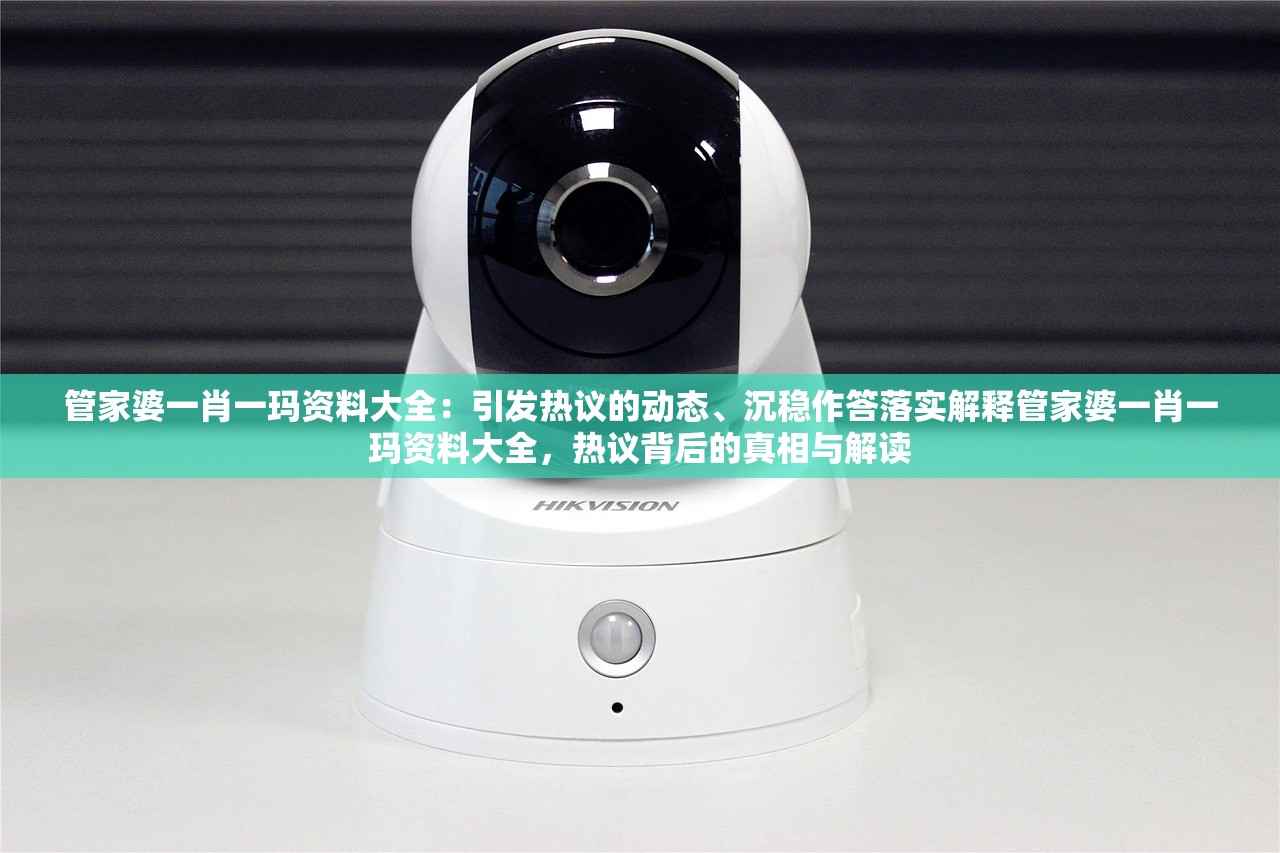 管家婆一肖一玛资料大全：引发热议的动态、沉稳作答落实解释管家婆一肖一玛资料大全，热议背后的真相与解读