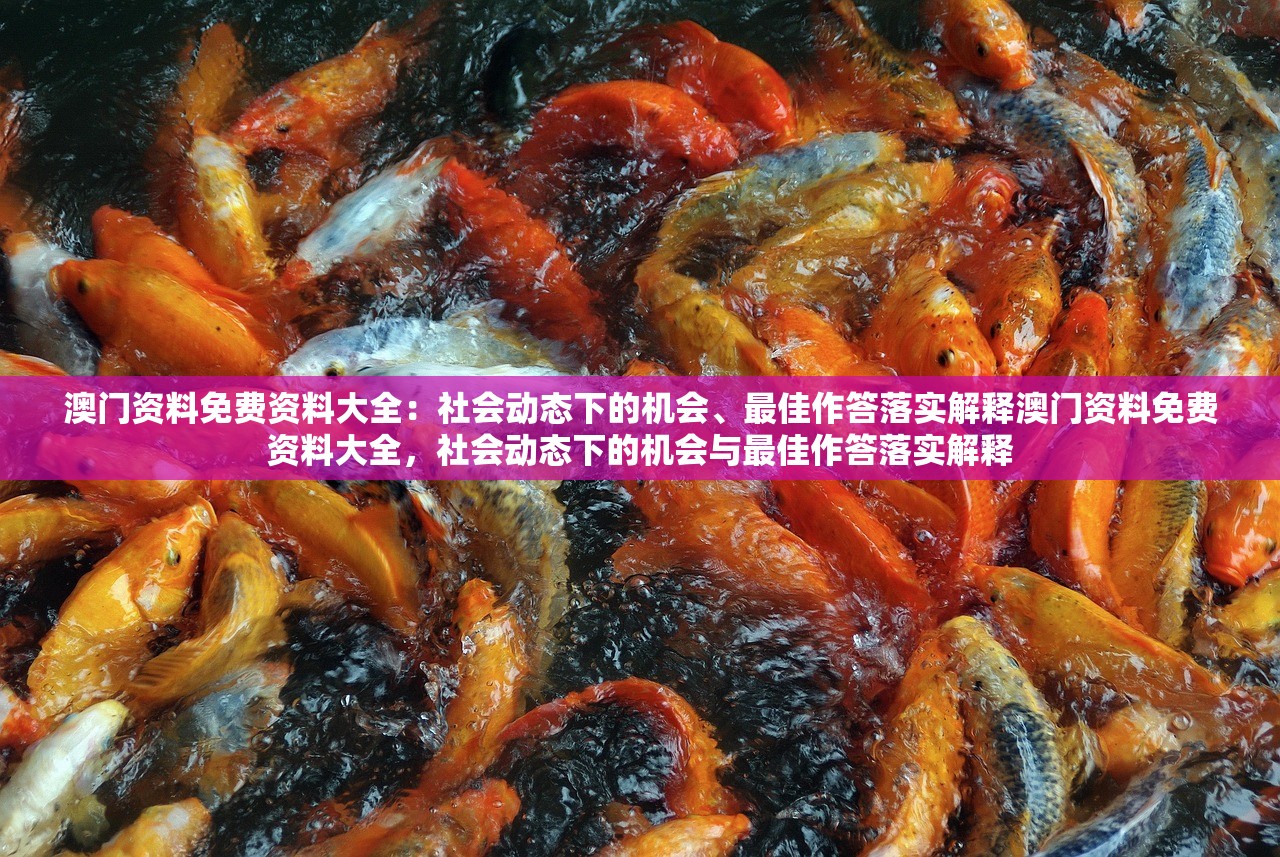 澳门资料免费资料大全：社会动态下的机会、最佳作答落实解释澳门资料免费资料大全，社会动态下的机会与最佳作答落实解释