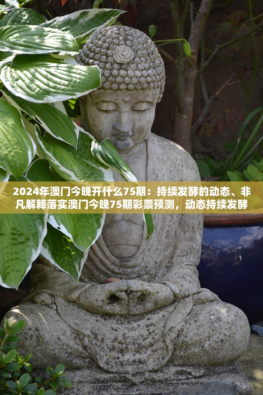 2024年澳门今晚开什么75期：持续发酵的动态、非凡解释落实澳门今晚75期彩票预测，动态持续发酵与非凡解释的落实展望