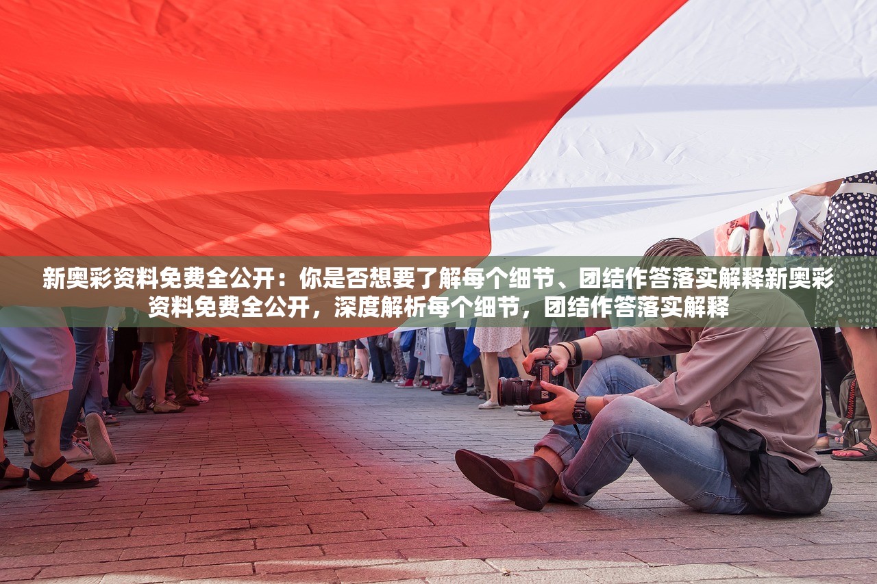 新奥彩资料免费全公开：你是否想要了解每个细节、团结作答落实解释新奥彩资料免费全公开，深度解析每个细节，团结作答落实解释