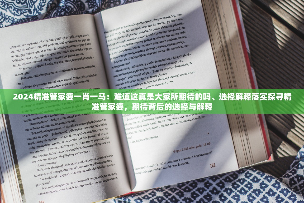 2024精准管家婆一肖一马：难道这真是大家所期待的吗、选择解释落实探寻精准管家婆，期待背后的选择与解释