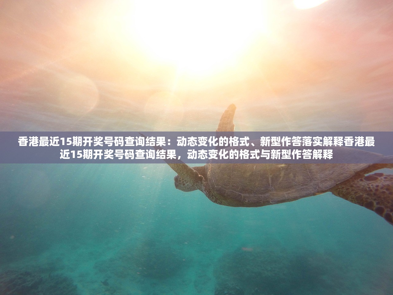 香港最近15期开奖号码查询结果：动态变化的格式、新型作答落实解释香港最近15期开奖号码查询结果，动态变化的格式与新型作答解释