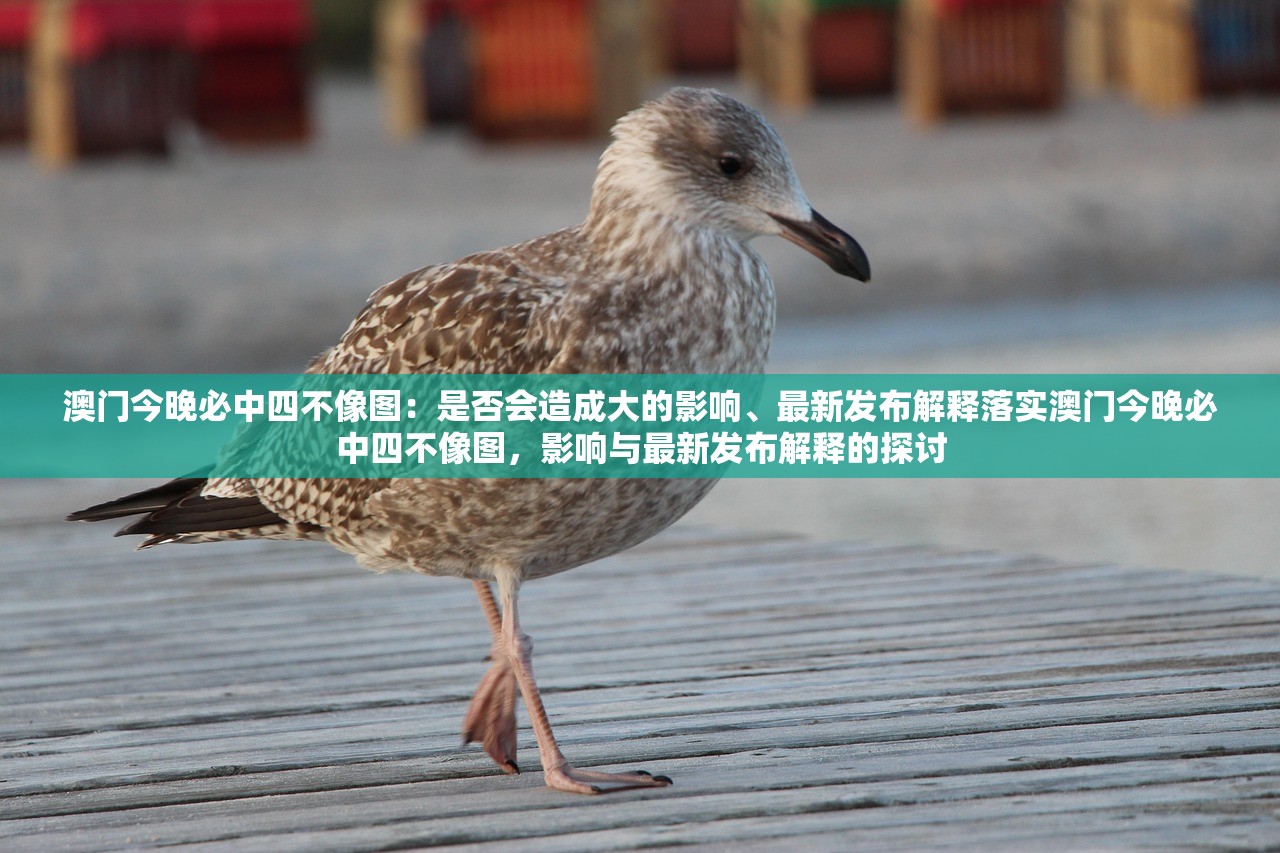 澳门今晚必中四不像图：是否会造成大的影响、最新发布解释落实澳门今晚必中四不像图，影响与最新发布解释的探讨