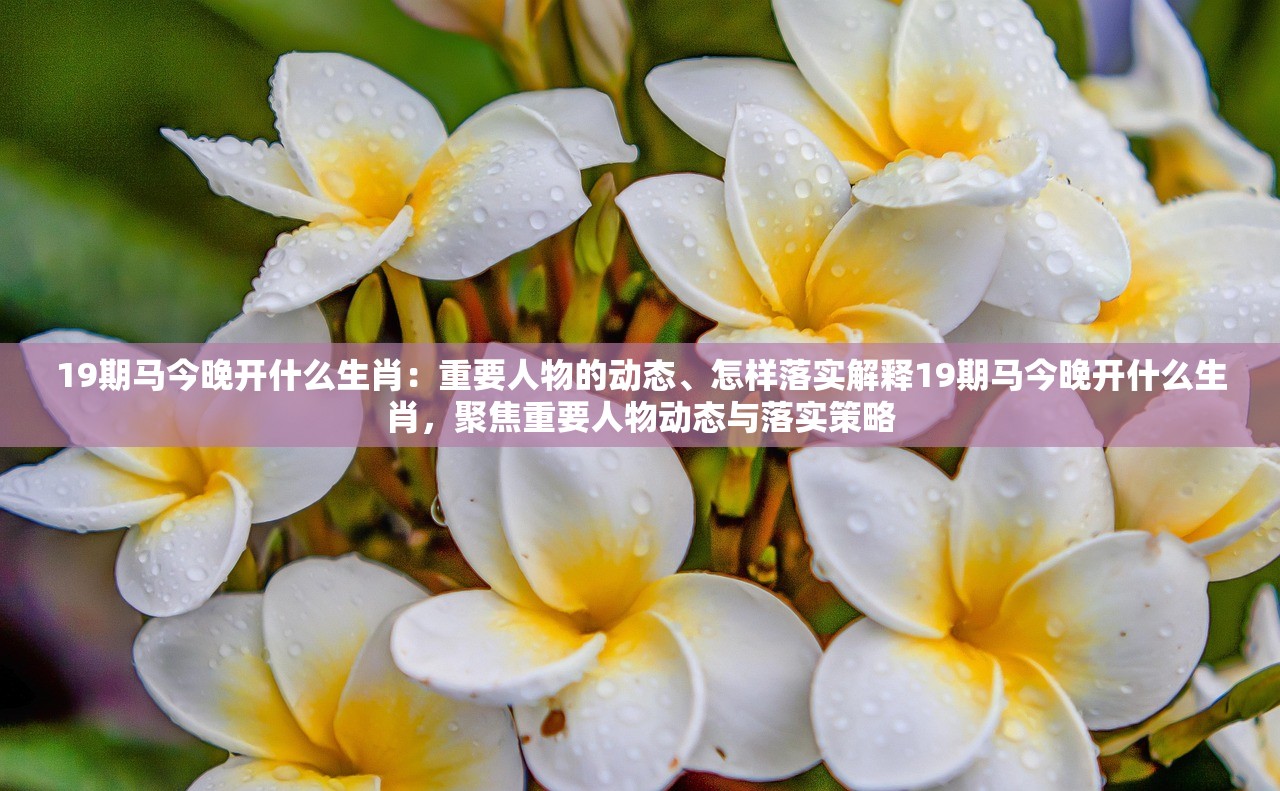 19期马今晚开什么生肖：重要人物的动态、怎样落实解释19期马今晚开什么生肖，聚焦重要人物动态与落实策略