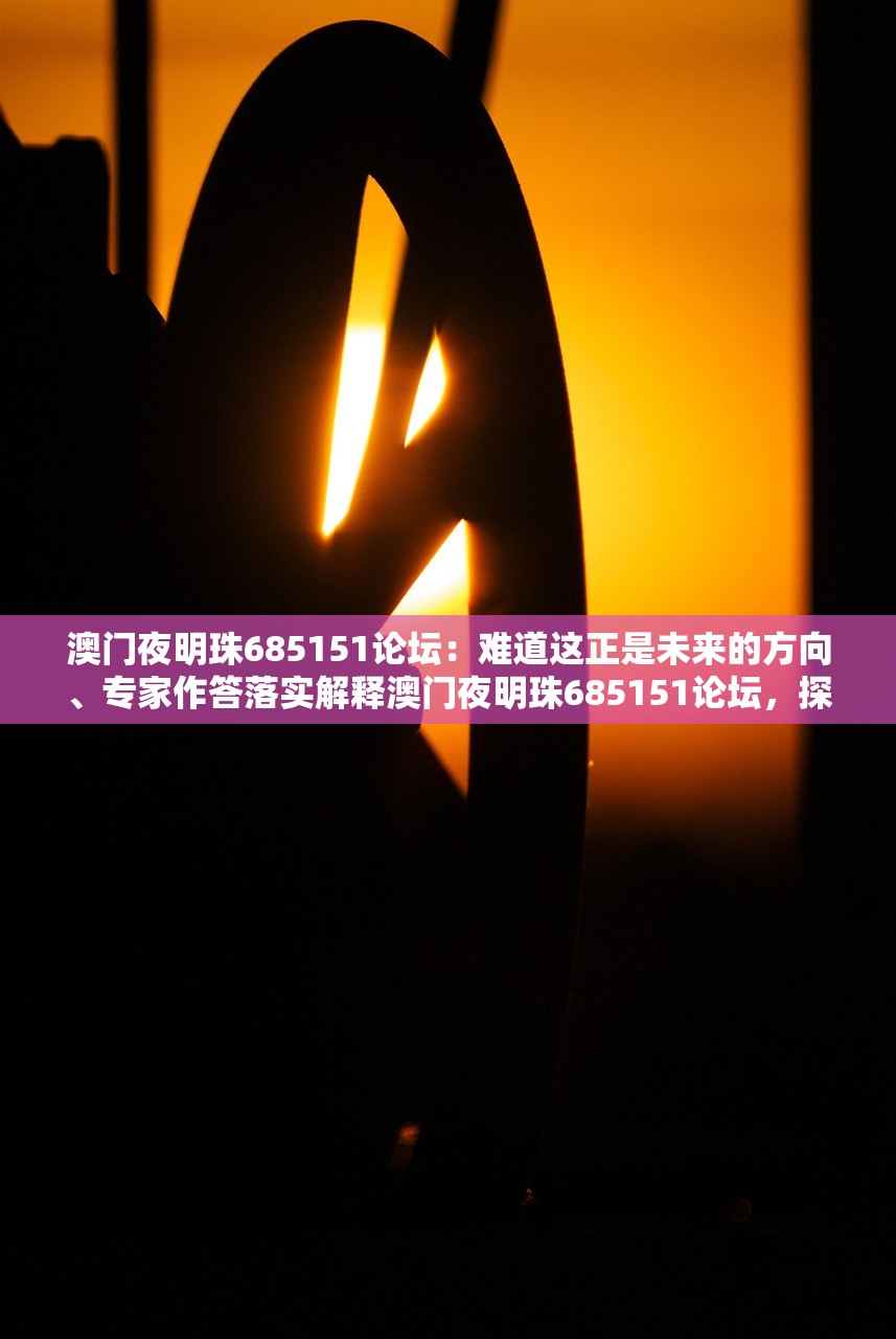 澳门夜明珠685151论坛：难道这正是未来的方向、专家作答落实解释澳门夜明珠685151论坛，探索未来的方向及专家深度解读