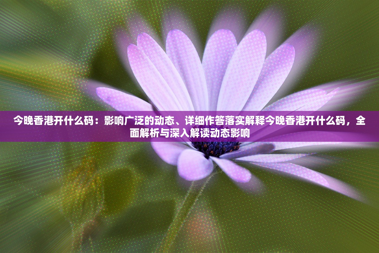 今晚香港开什么码：影响广泛的动态、详细作答落实解释今晚香港开什么码，全面解析与深入解读动态影响
