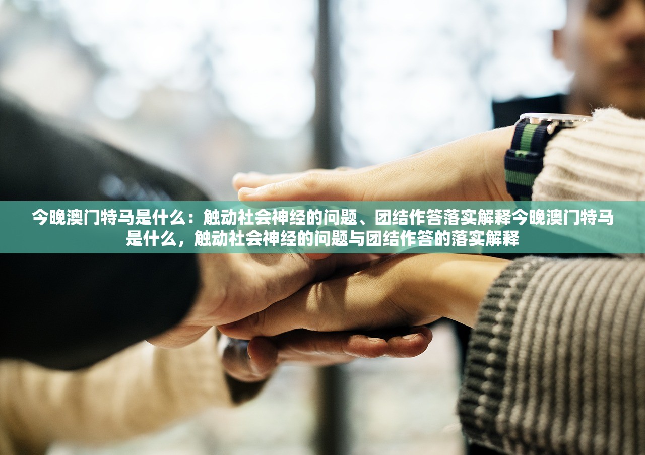 今晚澳门特马是什么：触动社会神经的问题、团结作答落实解释今晚澳门特马是什么，触动社会神经的问题与团结作答的落实解释