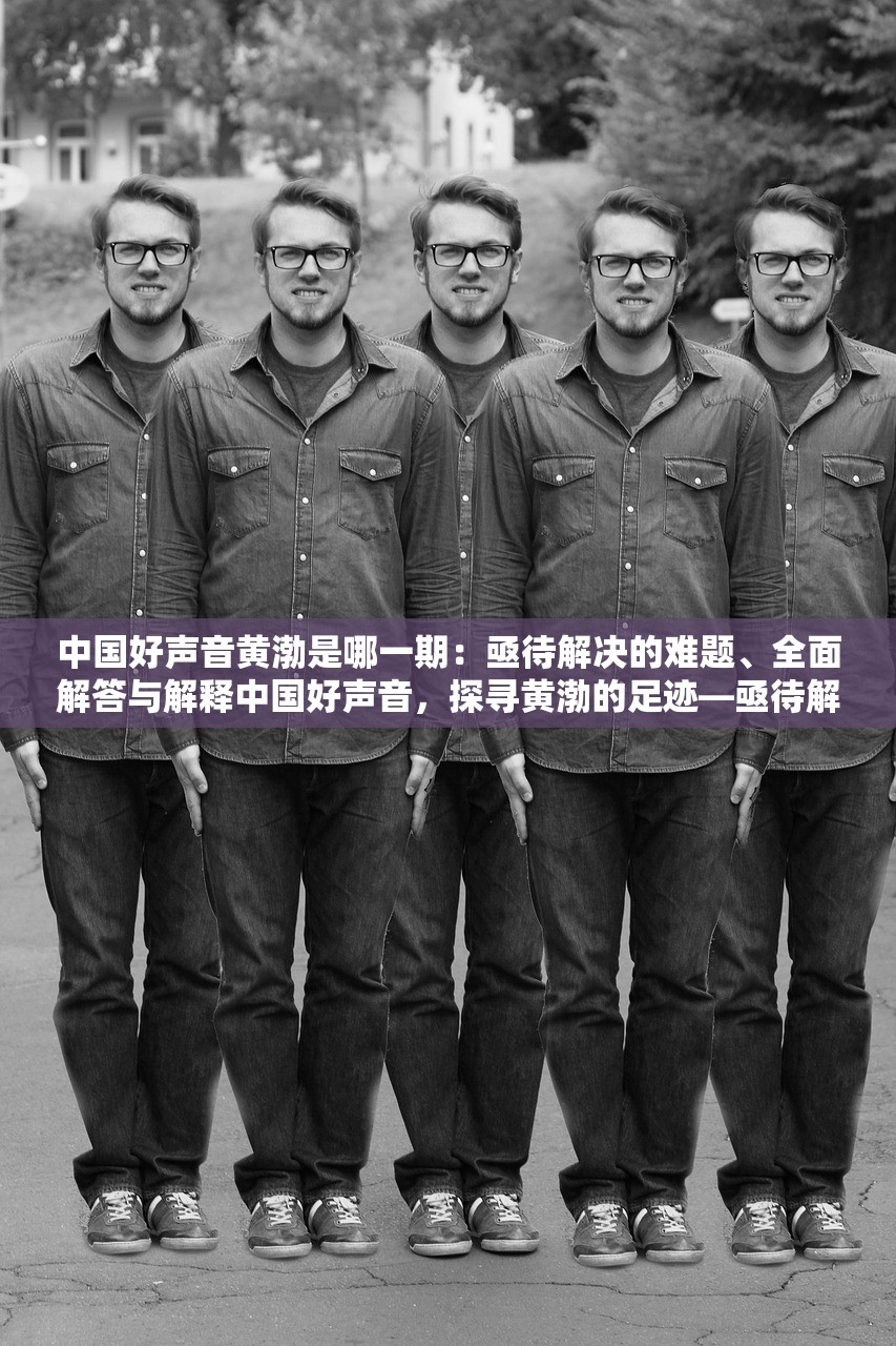 中国好声音黄渤是哪一期：亟待解决的难题、全面解答与解释中国好声音，探寻黄渤的足迹—亟待解决的难题与全面解答
