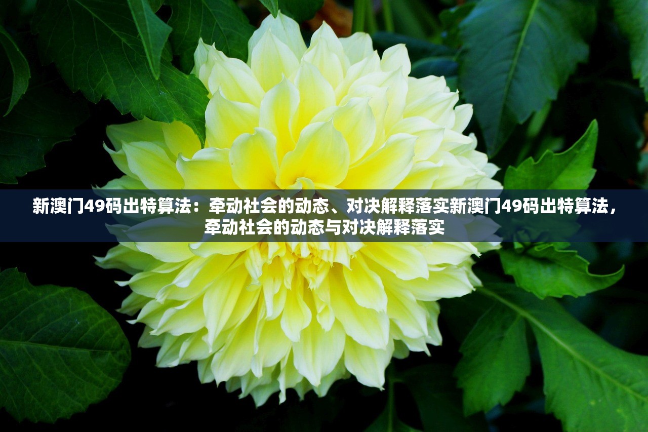新澳门49码出特算法：牵动社会的动态、对决解释落实新澳门49码出特算法，牵动社会的动态与对决解释落实